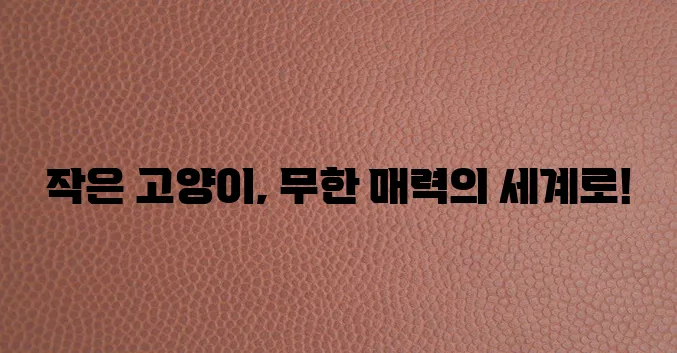 작은 고양이 품종 사랑스러움 가득한 다채로운 매력이 최고!