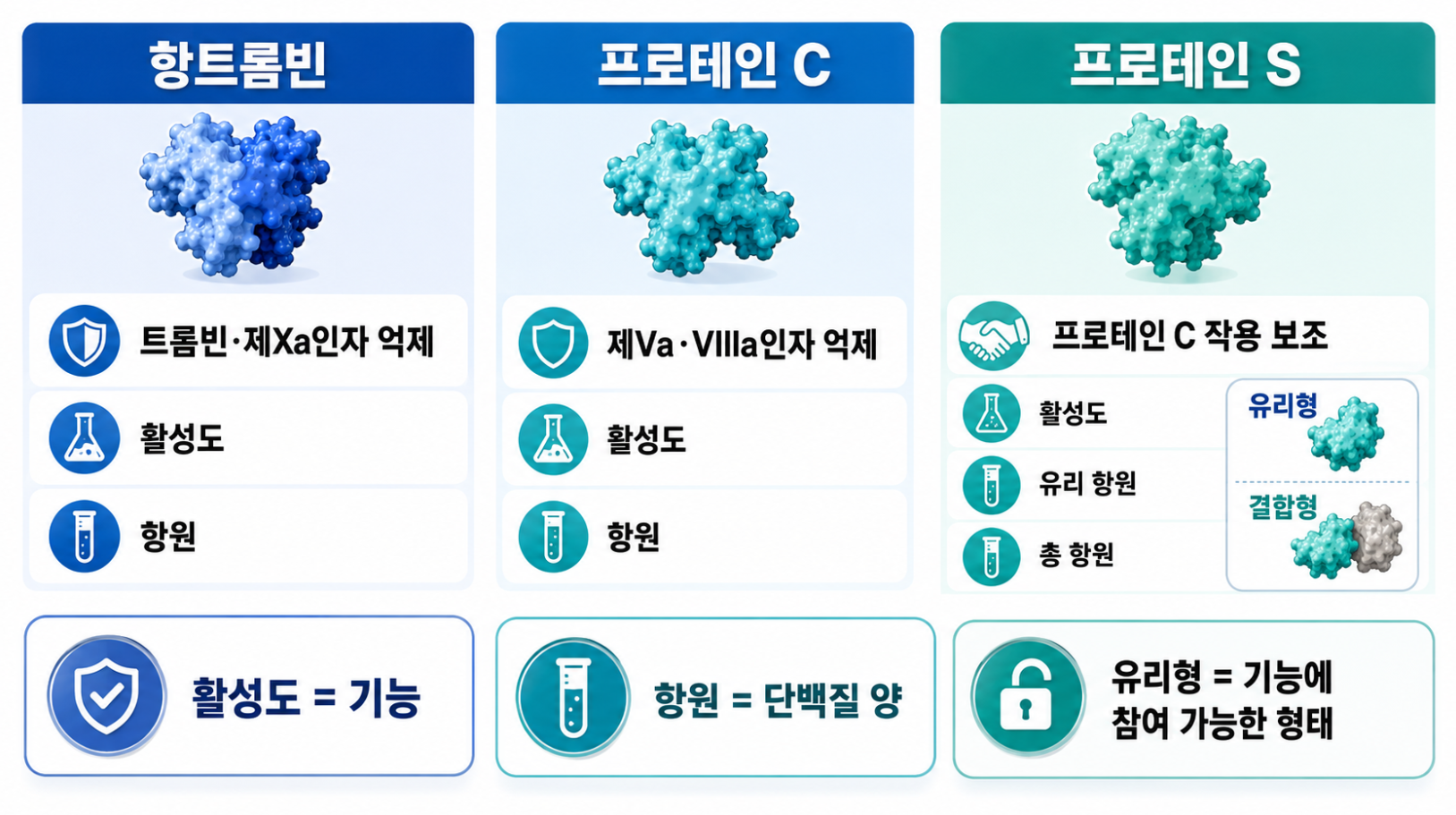항트롬빈·프로테인 C·프로테인 S의 활성도와 항원 검사의 차이를 비교한 의료 인포그래픽