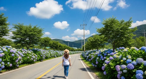 푸른 하늘 아래 수국길 전경