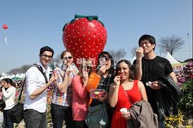 3월 국내 여행지 추천