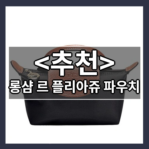 롱샴 르 플리아쥬 파우치