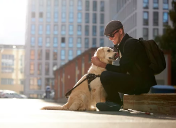 Golden Retriever/출처:어도비스톡