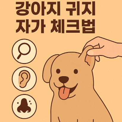 강아지 귀지 관리와 외이도염 자가 체크법 완벽 가이드