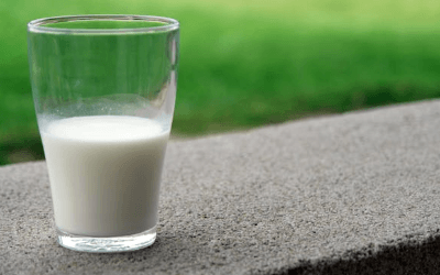 위 절제 후 식단