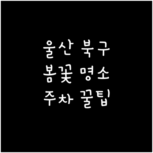 울산 북구 봄꽃 구경하기 좋은 곳과 ..