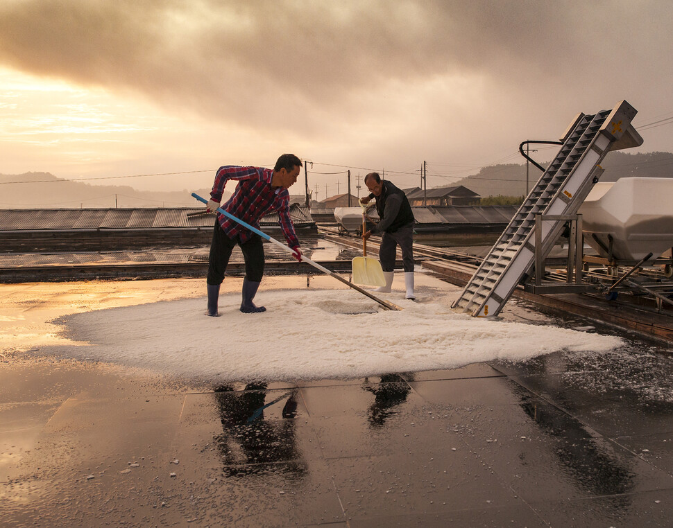 곰소염전에서 일하는 모습