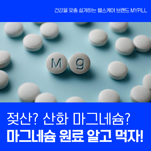 마그네슘 원료 특징 비교