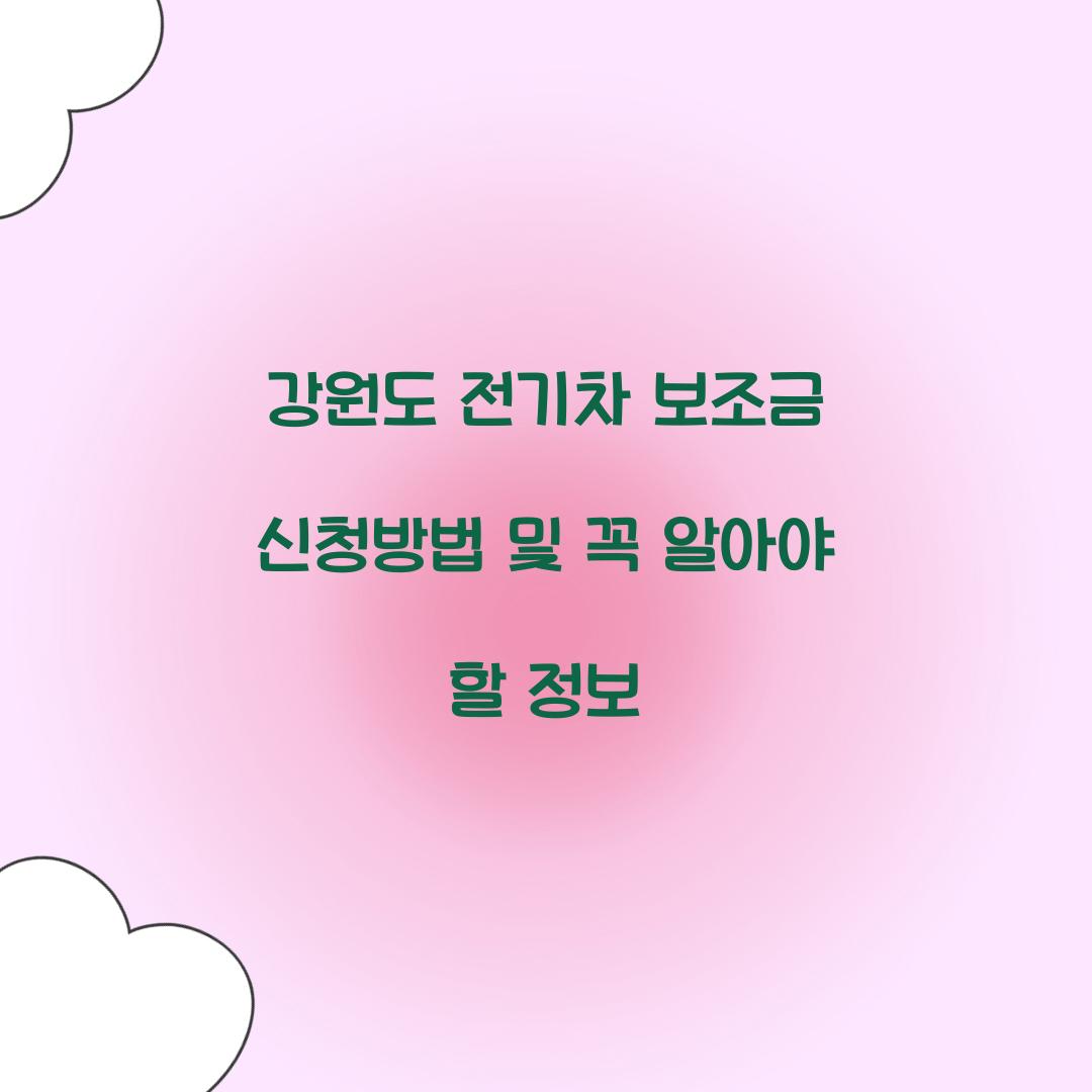 강원도 전기차 보조금