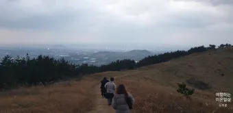제주 오름 트레킹 코스 초보 난이도 뷰맛집 주차 정보 정리_21