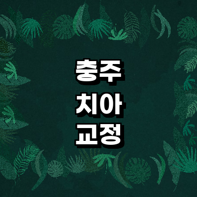 충주시 교정 치과
