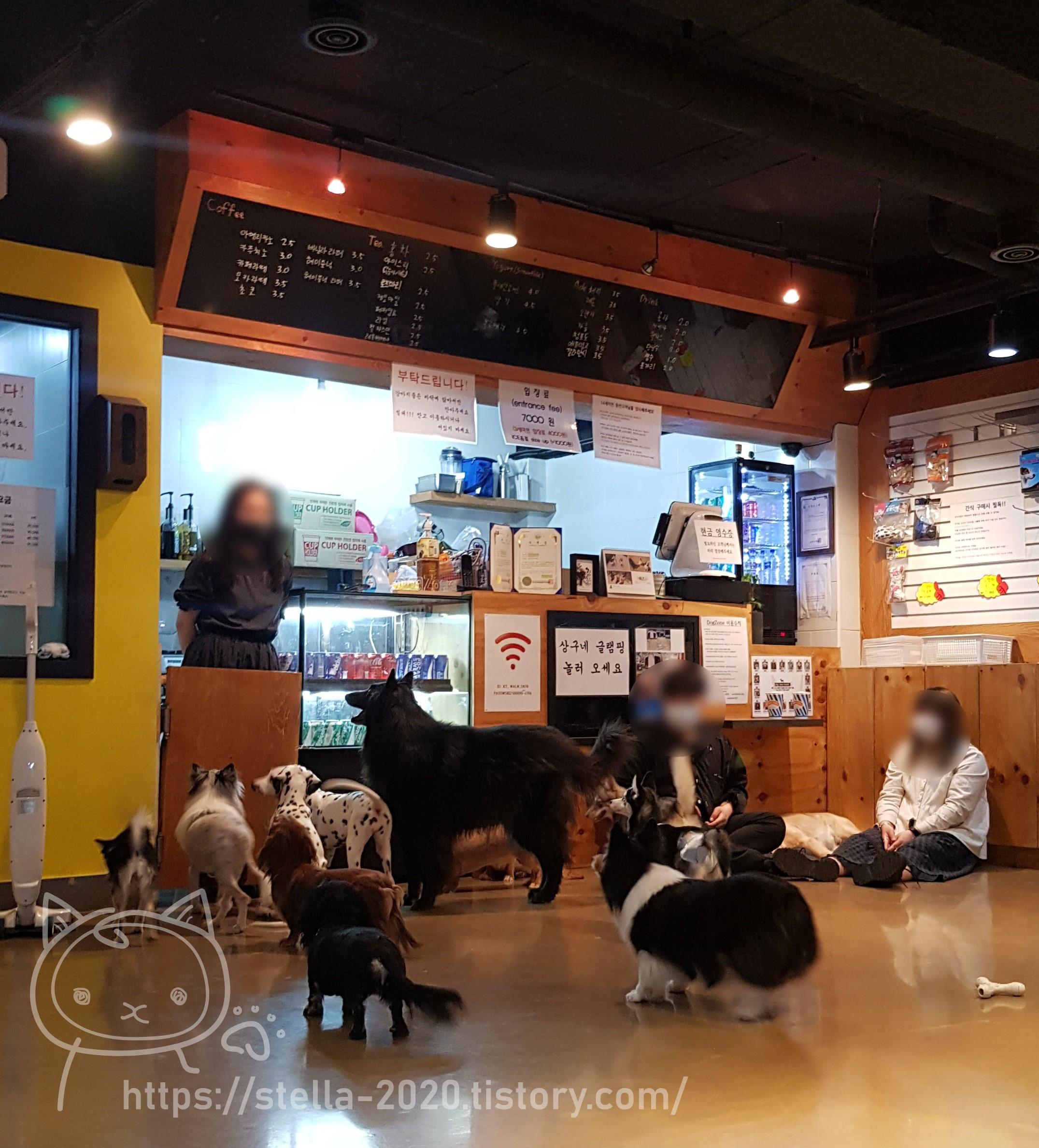 잠실, 잠실새내 애견카페 "도그존_Dog Zone" + 캣존 잠실, 잠실새내 애견카페 "도그존_Dog Zone" + 캣존