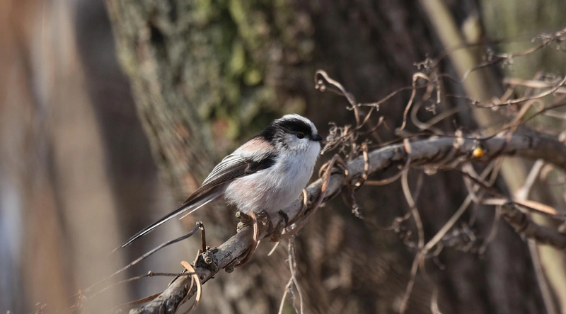효과적인 공부 방법