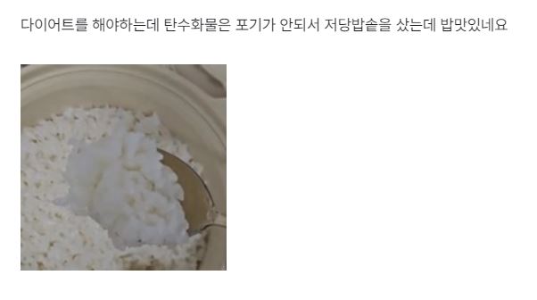 칼로볼 후기 - 다이어트