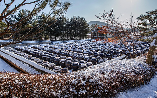 장독대