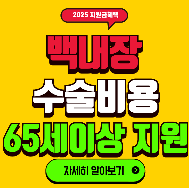 백내장 수술비용 노인