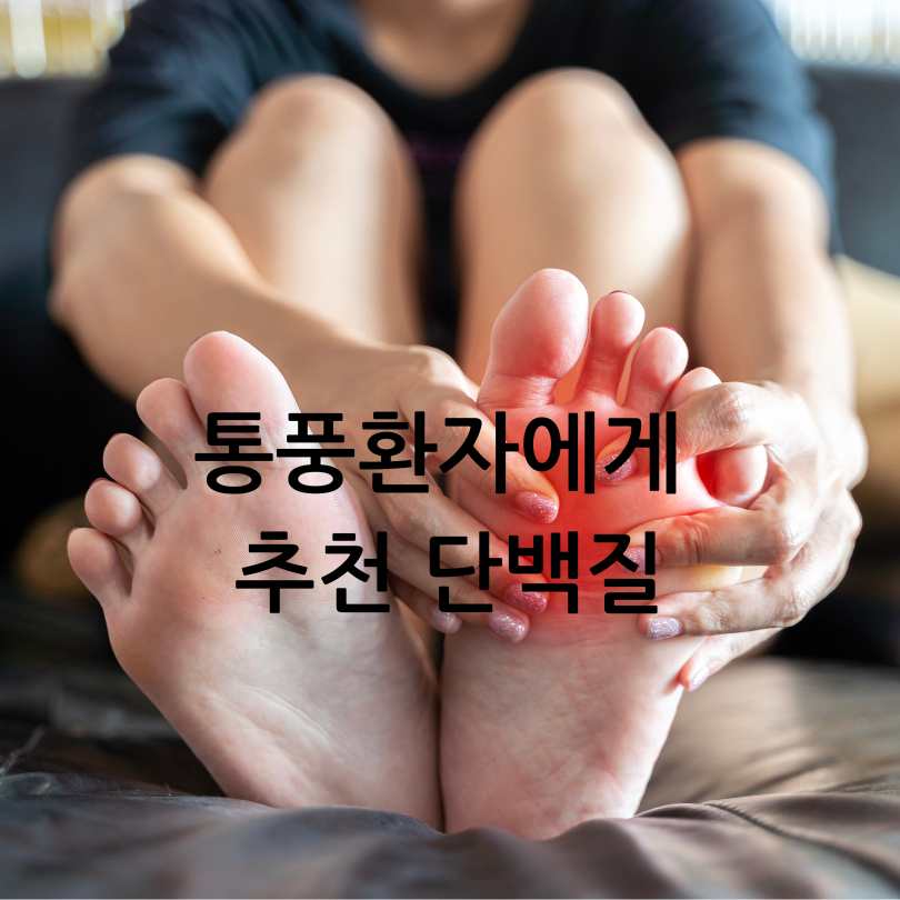 통풍과단백질보충제관계