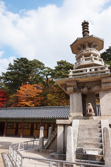 11월 여행지 추천 - 가을 감성 가득한 국내 명소 BEST 5