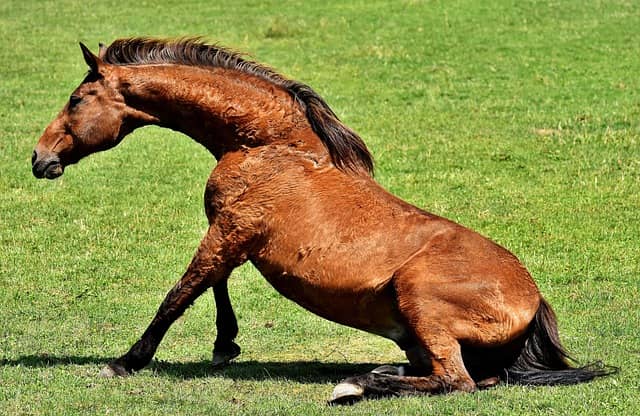 의욕이 떨어진 뒤 다시 시작이 더 어려운 진짜 이유
