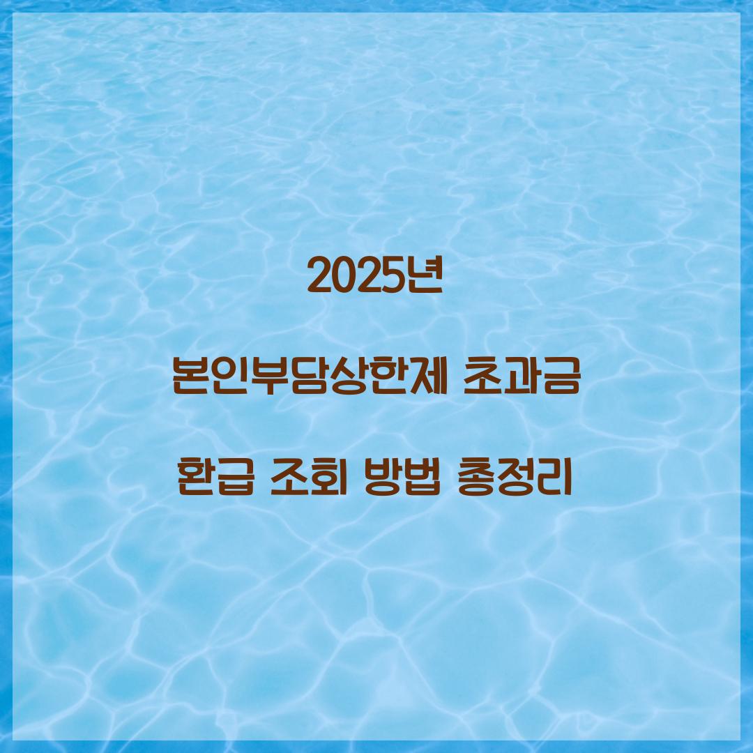 2025년 본인부담상한제 초과금 환급