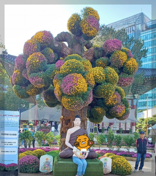 조계사-국화축제
