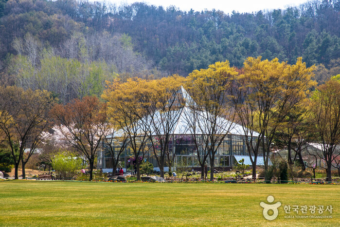 대구 가볼만한 단풍 여행은 어디일까? 대구 단풍 여행 총정리!