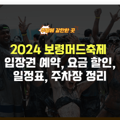 보령머드축제