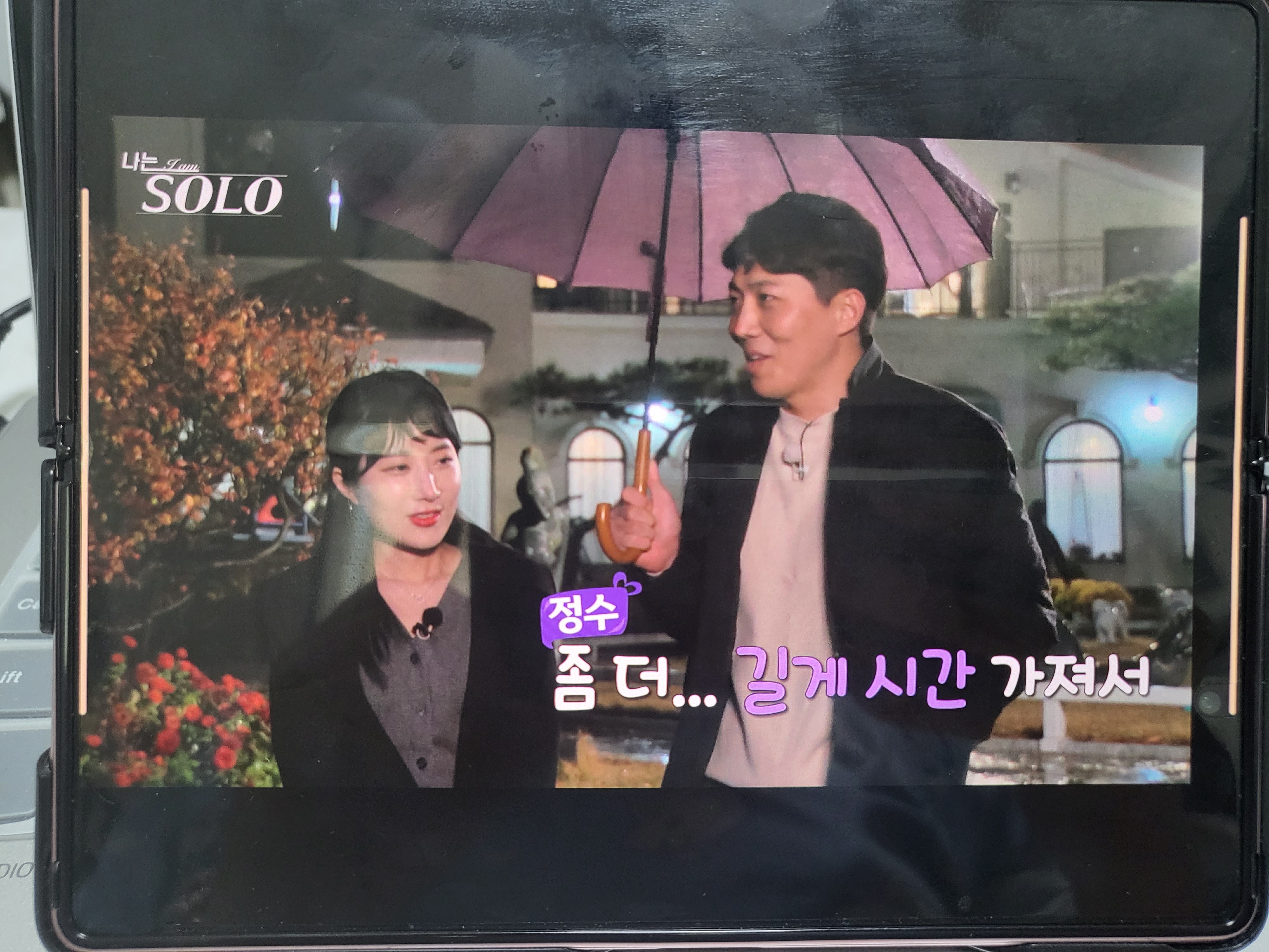 프리디와이