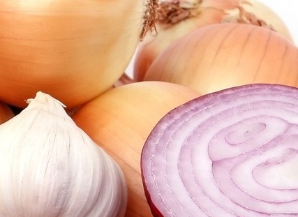 고지혈증에 좋은 음식