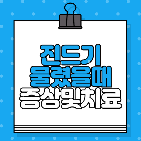 진드기물렸을때