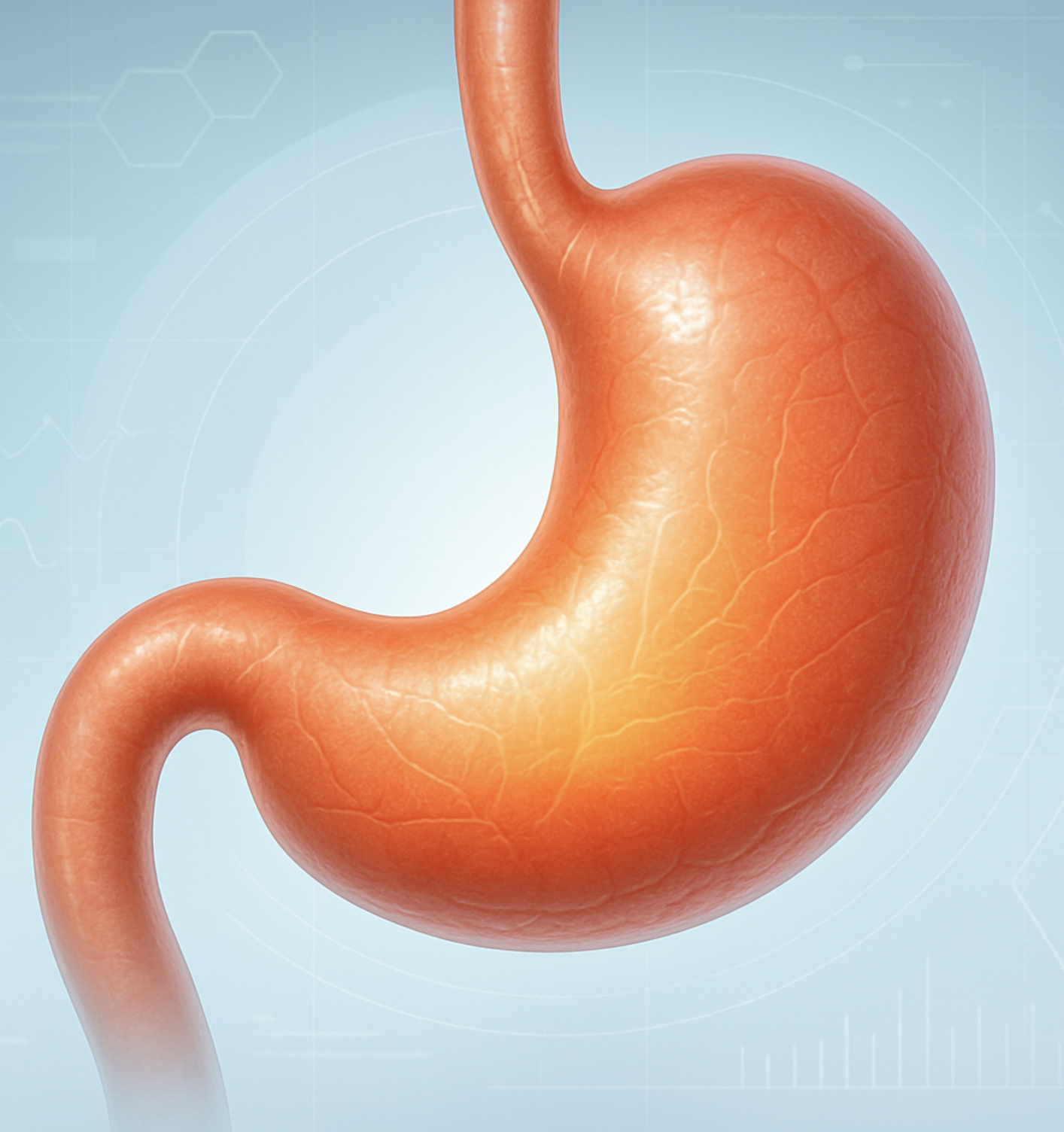 더부룩한 속&amp;#44; 가벼운 아침을 위한 약속