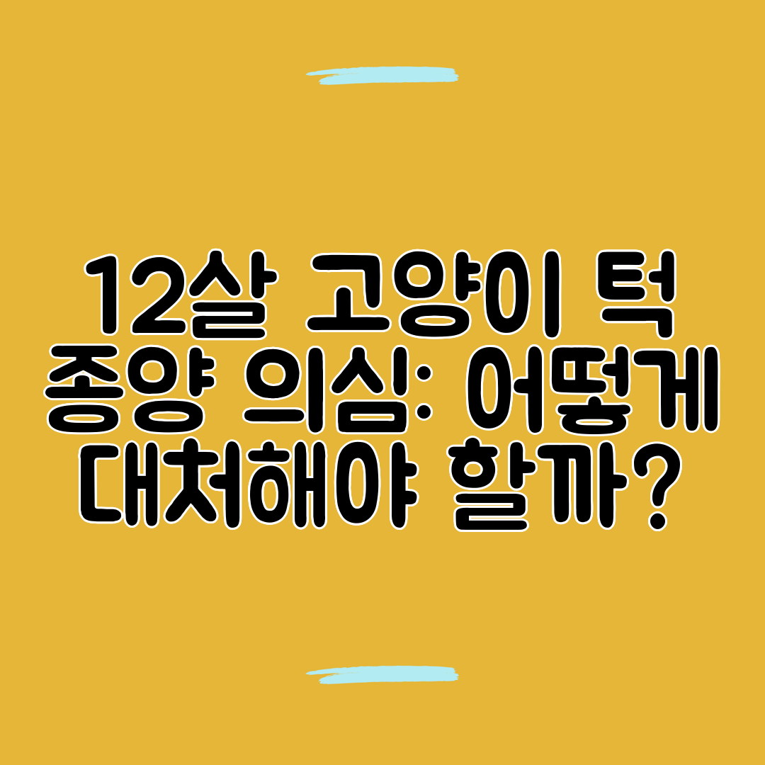 12살 고양이 턱 종양 의심 어떻게 대처해야 할까