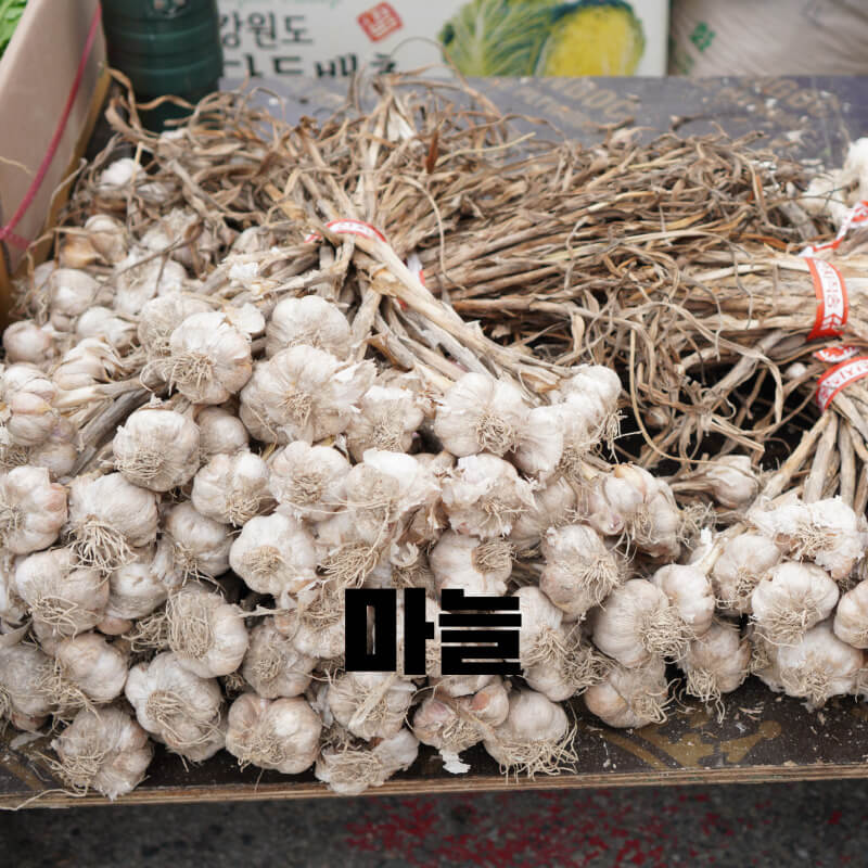 마늘 심는 시기와 효능