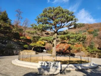 화담숲 예약하기 예약 방법 입장료 모노레일_11