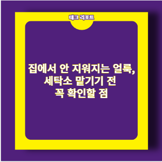 집에서 안 지워지는 얼룩, 세탁소 맡기기 전 꼭 확인할 점