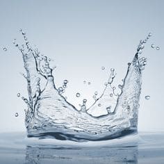 간헐적 단식 물