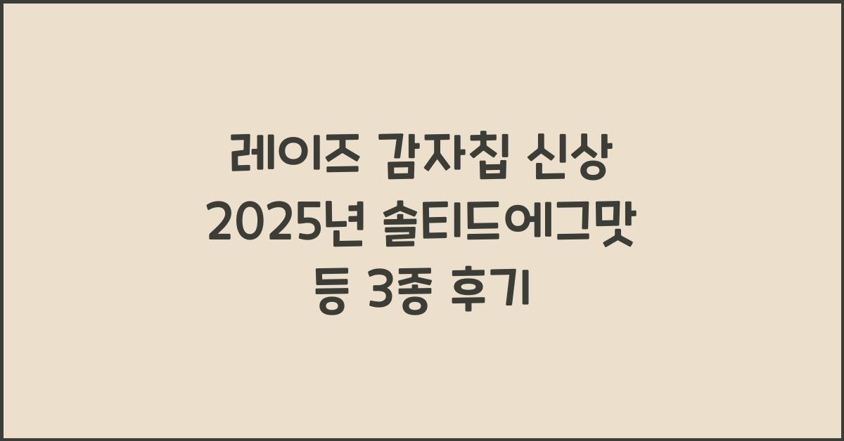 레이즈 감자칩