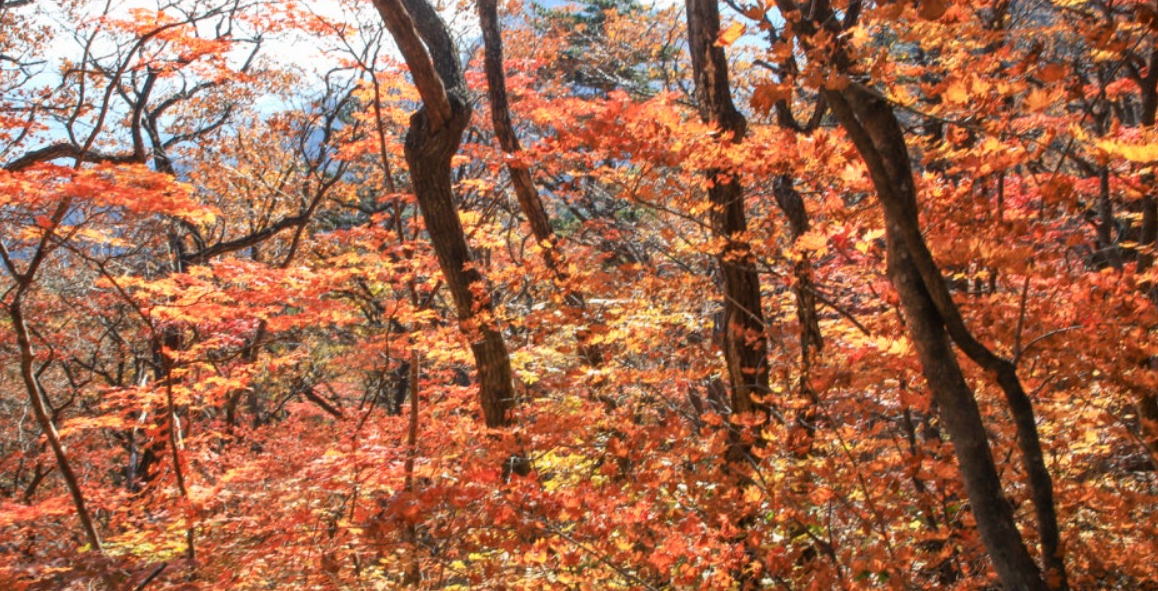 설악산