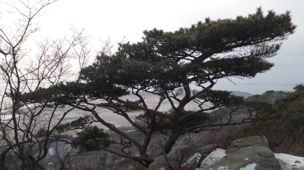 100대 명산 등산하기 열다섯번째 석모도 해명산 새벽 햇살이 가장 먼저 스며드는 산
