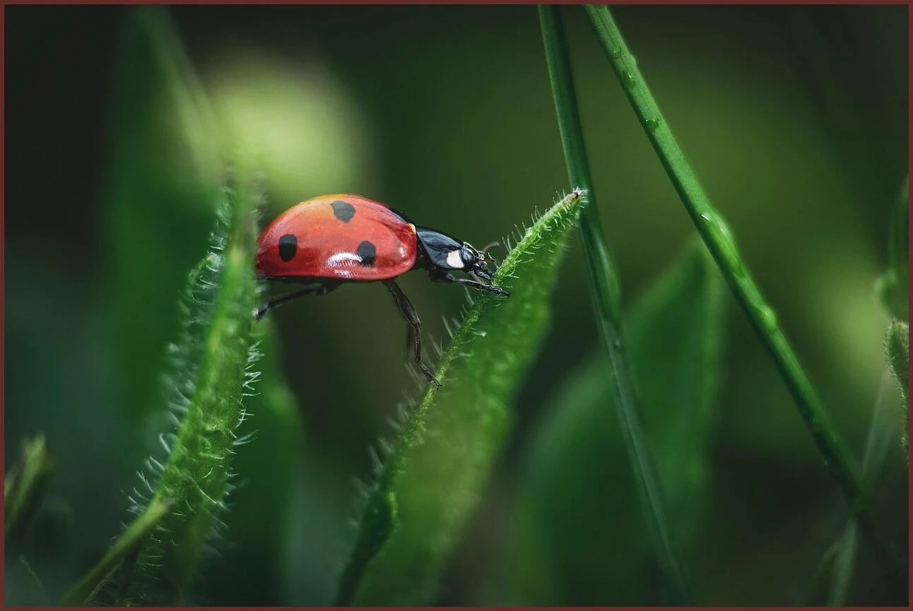 하나은행 정기예금 금리