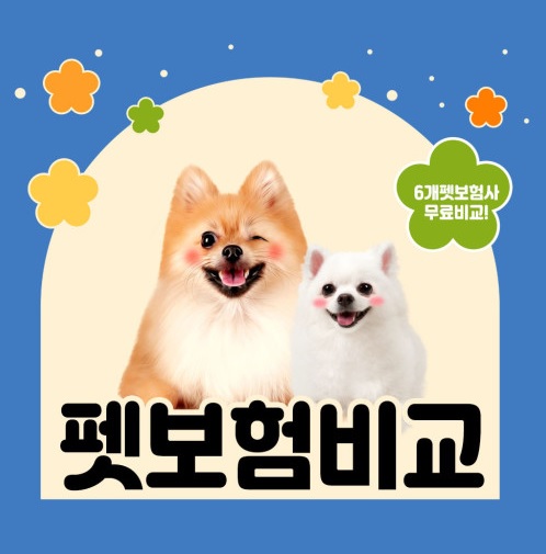 펫보험 비교