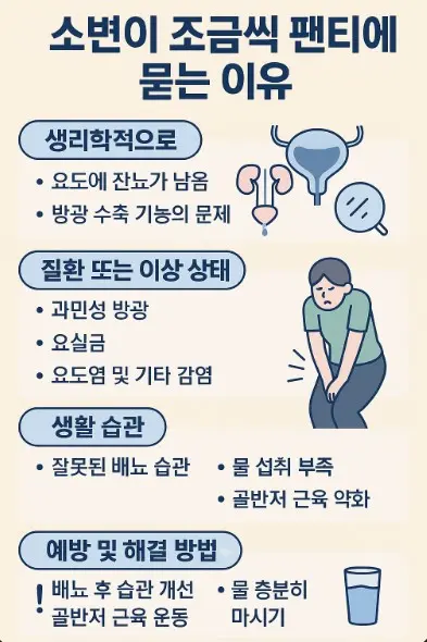 소변이-묻는-이유