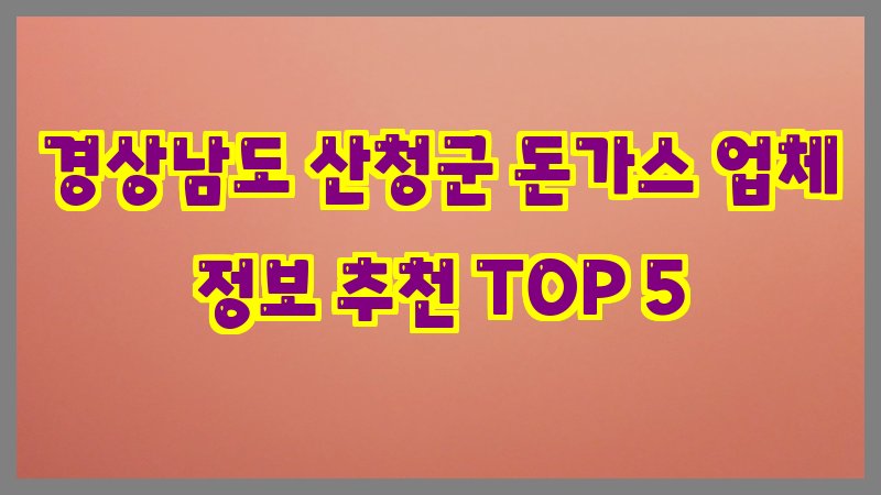 경상남도 산청군 돈가스