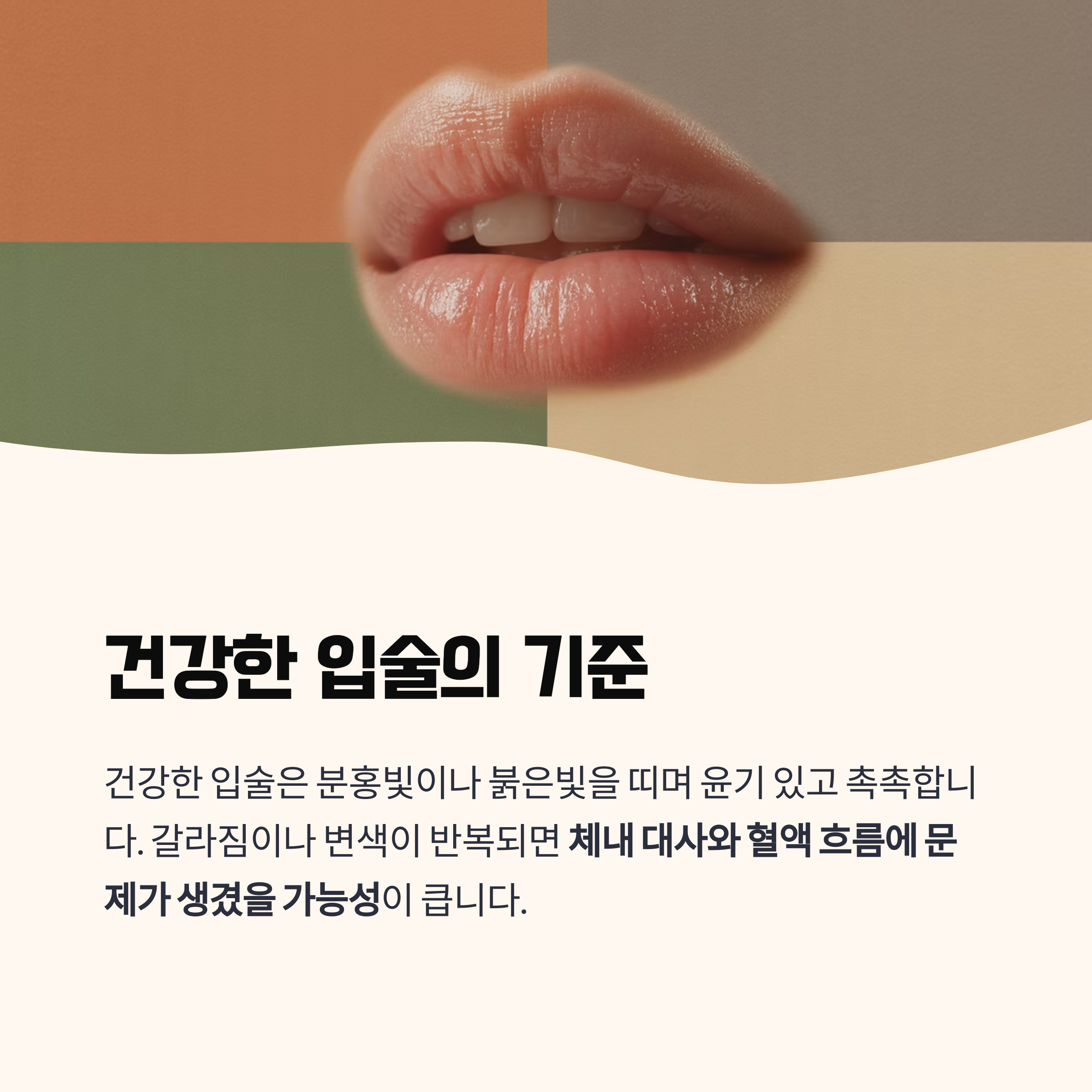 건강한 입술의 기준은 무엇일까?