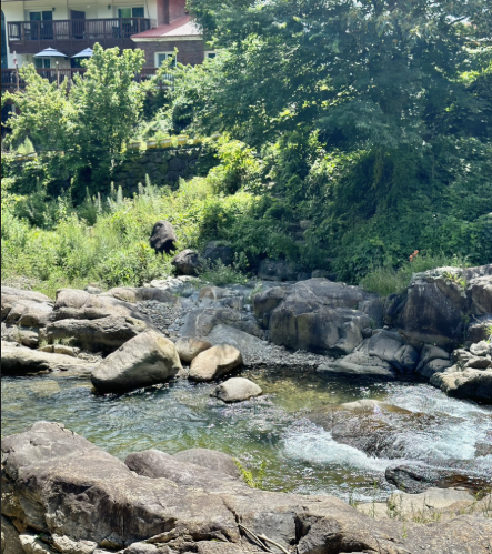 지리산 생태탐방원 예약 및 주변 관광지