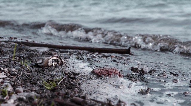 오염수 방류 소금 관련주 대장주 수혜주