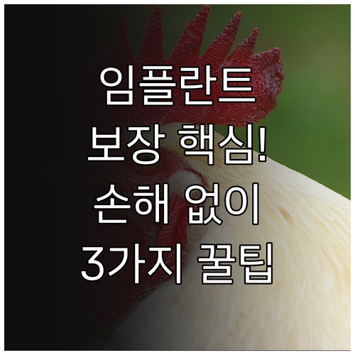 치아보험 임플란트 담보 손해 없이 최..