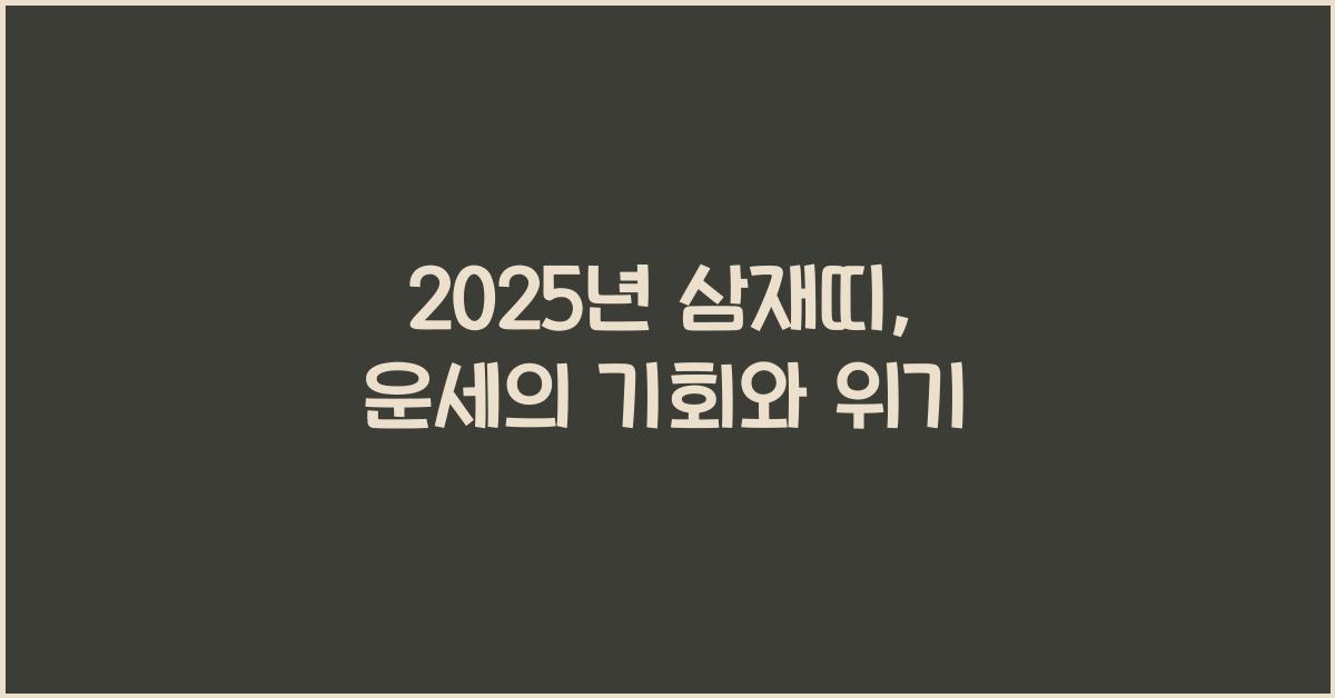 2025년 삼재띠