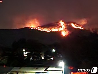 홍성 대전 산불