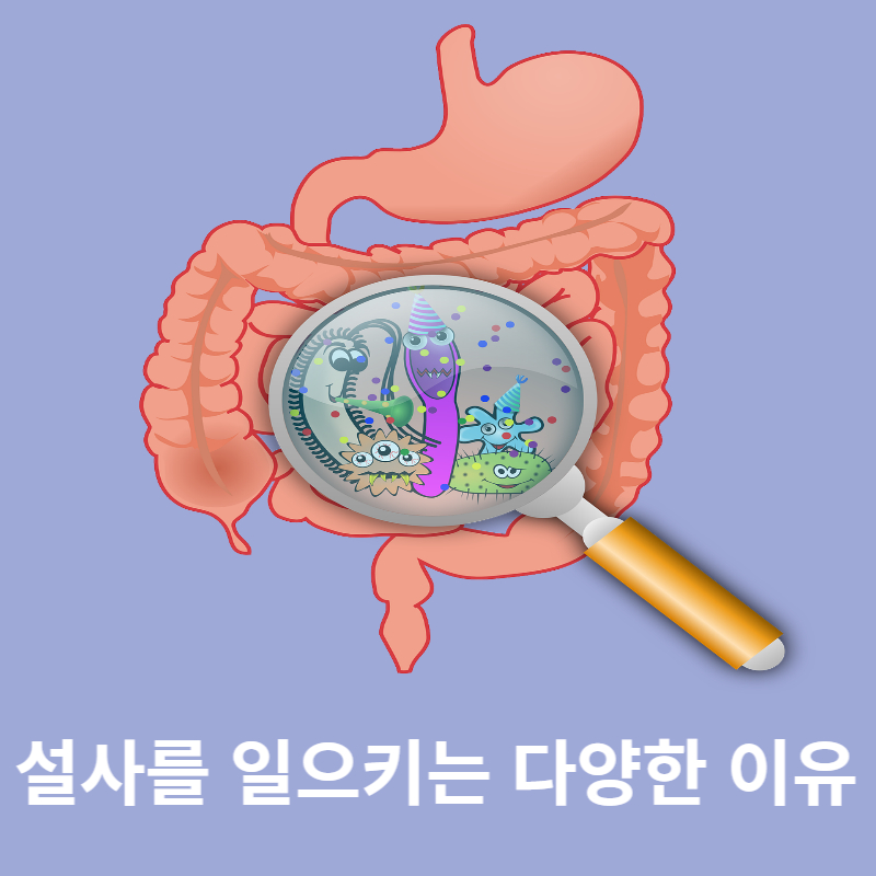 설사의 원인