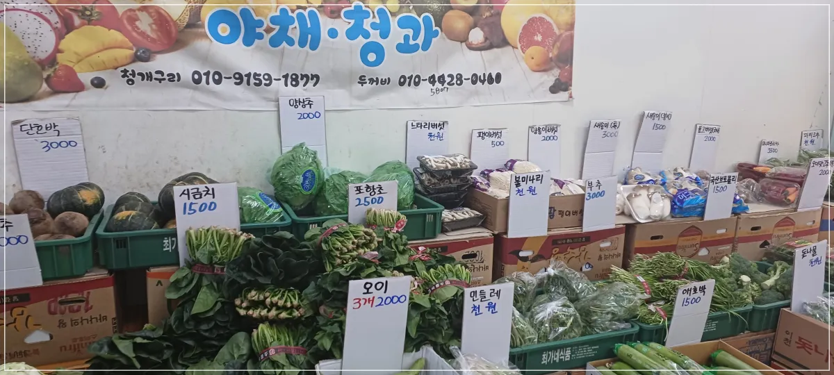 청개구리청과-야채